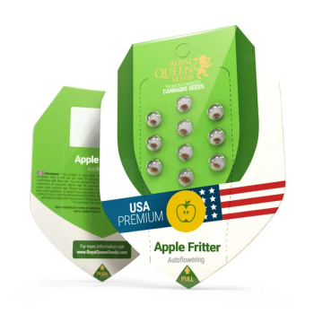 Samen 3x Apple Fritter Automatik Royalqueenseeds